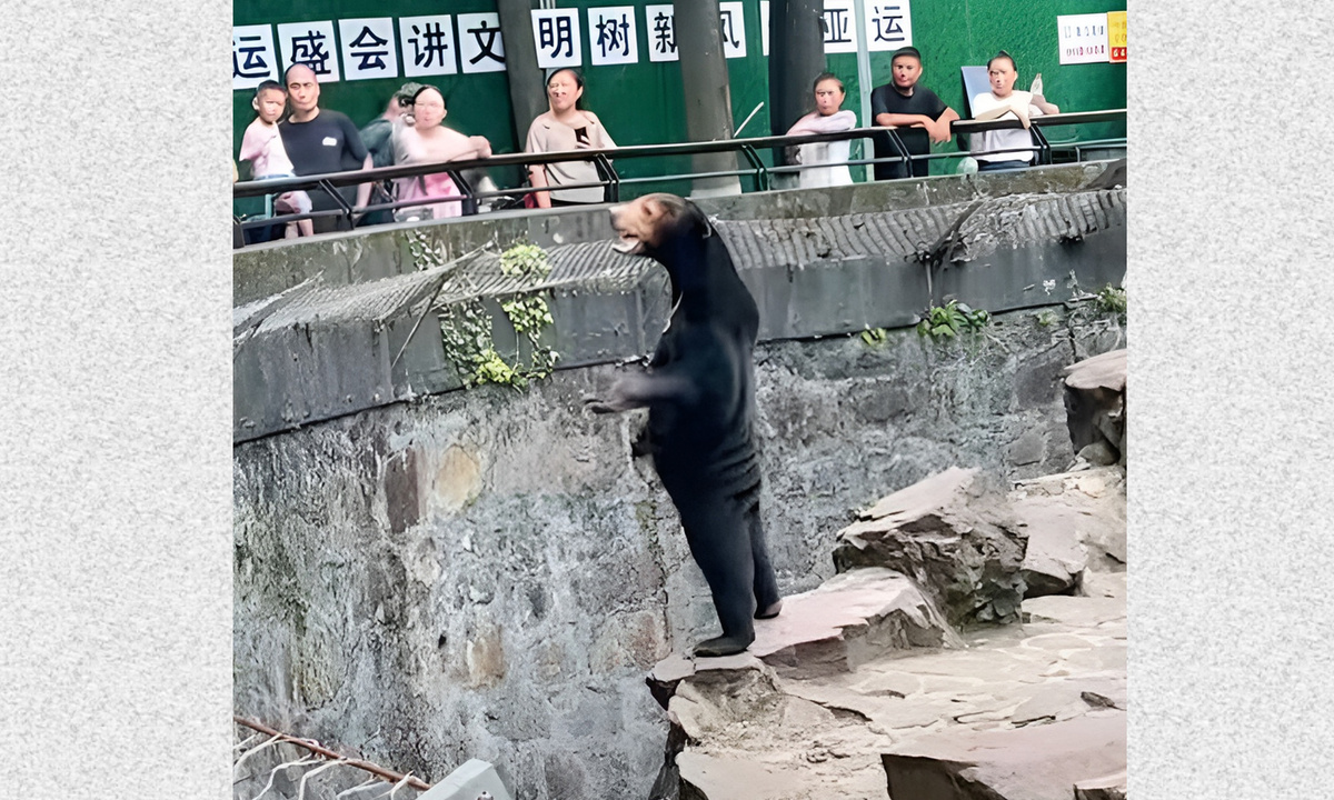 соцсети, через The Guardian