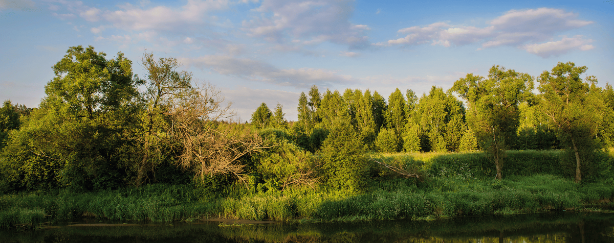  @Katya Scekic/Shutterstock