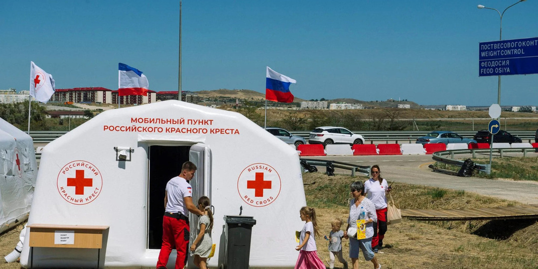700 переводов за три года: как Красный Крест говорит по-русски