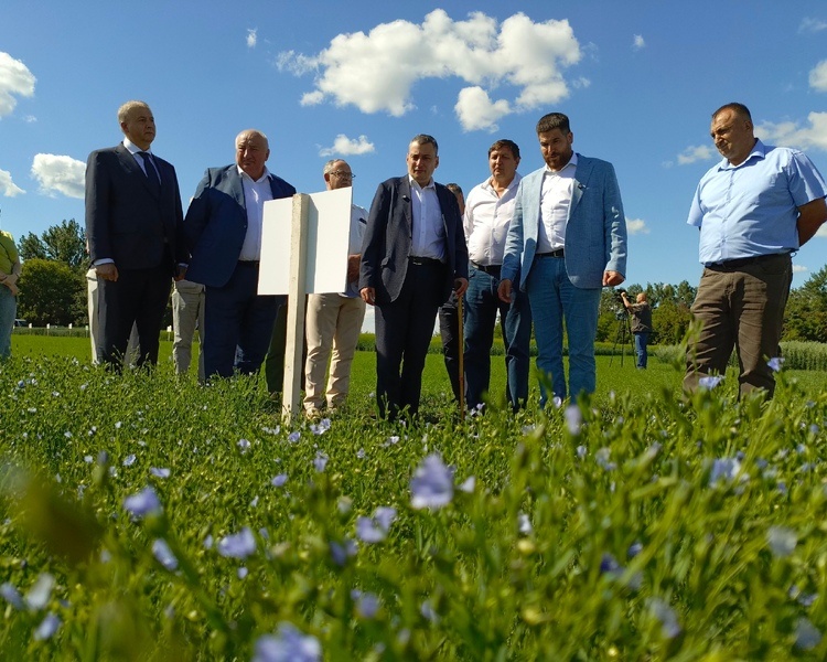     Хинштейн осмотрел селекционные посевы в Солнцевском районе Курской области