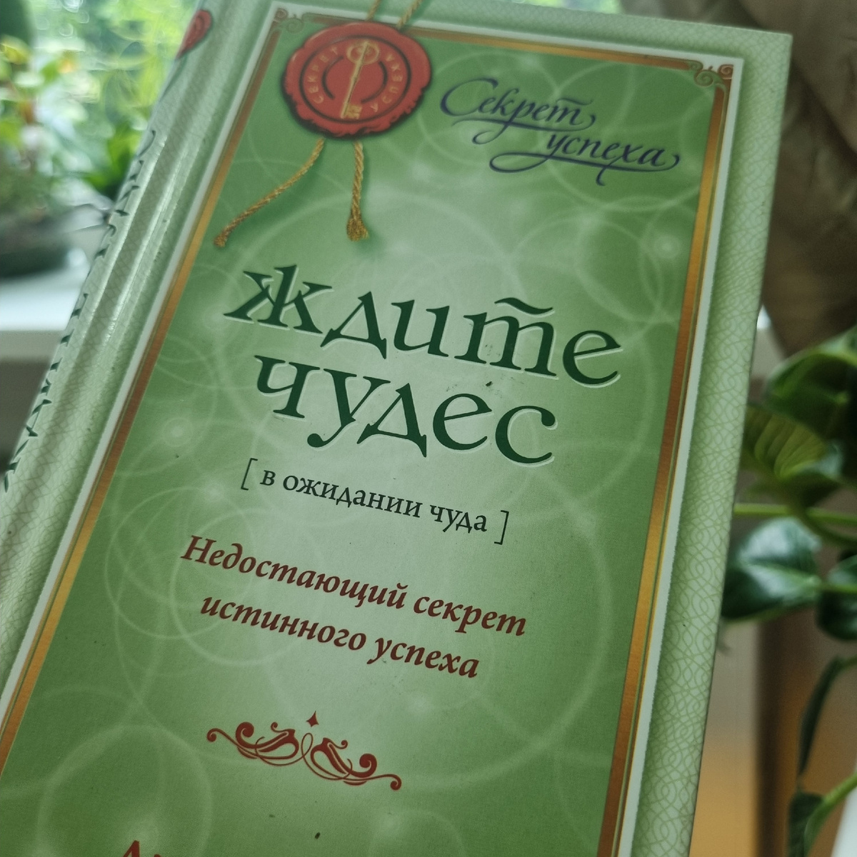 Книга, которую Вселенная подкинула мне через буккроссинг. Идеальное чтение, пока техника шуршит по стеклу. 📚