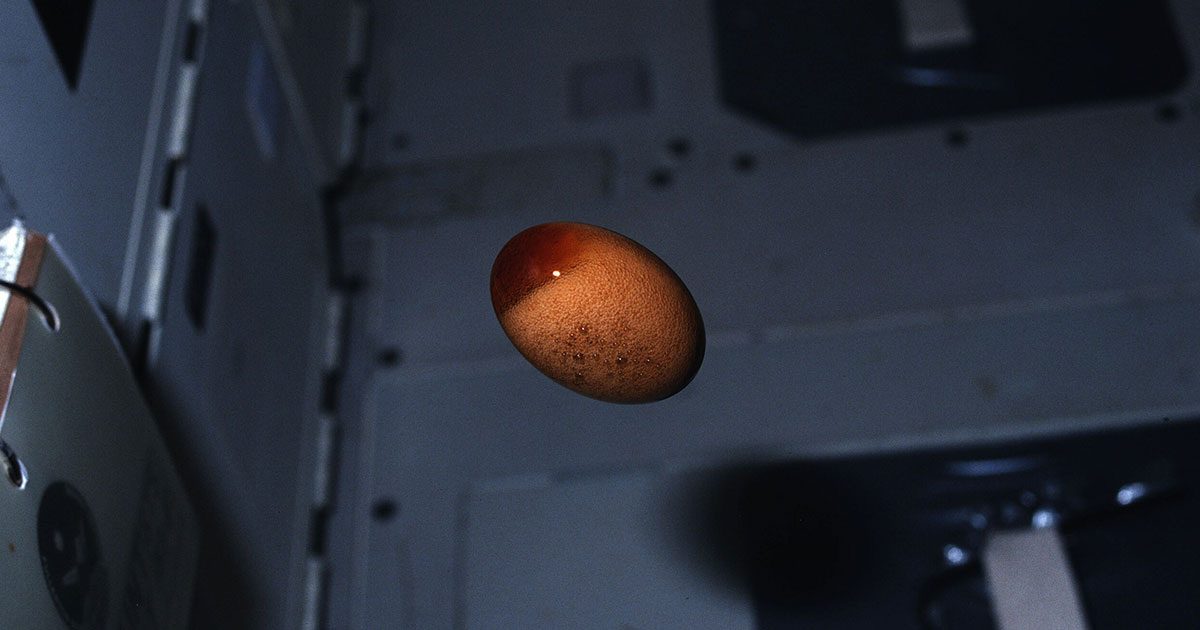 NASA