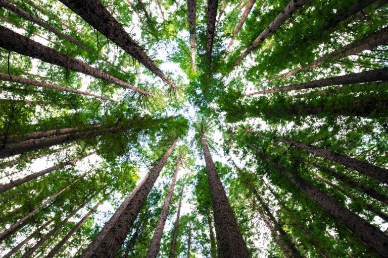    Фото: unsplash.com Илья Федоров