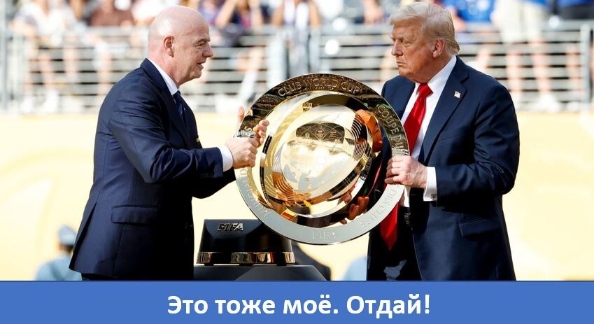 https://avatars.dzeninfra.ru/get-zen_doc/271828/pub_6a3e8e909ab1de7f0039c8fd_6a3e8f8a310a142c452f706d/scale_1200
