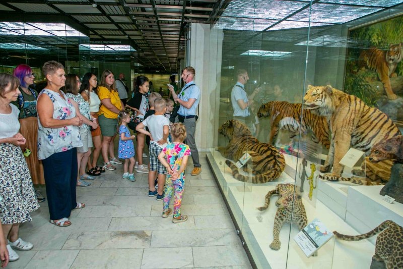 Наш музей в середине лета