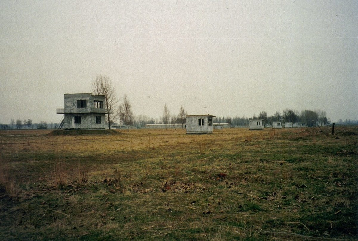 1994 год...