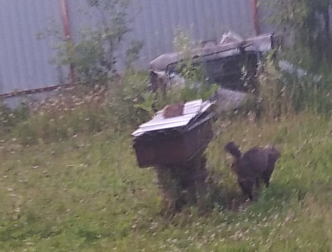 личное