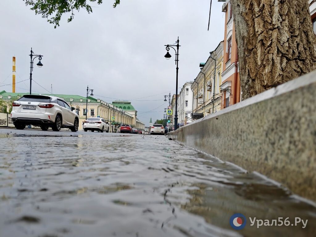    «Траву скосили, а как была забита, так и осталась»: В Оренбурге из‑за неработающей ливневки затопило квартиры
