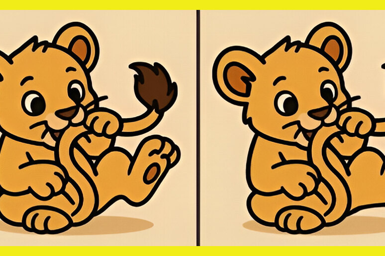 Львенок играет со своим хвостом: сможете найти 3 отличия за 20 секунд?