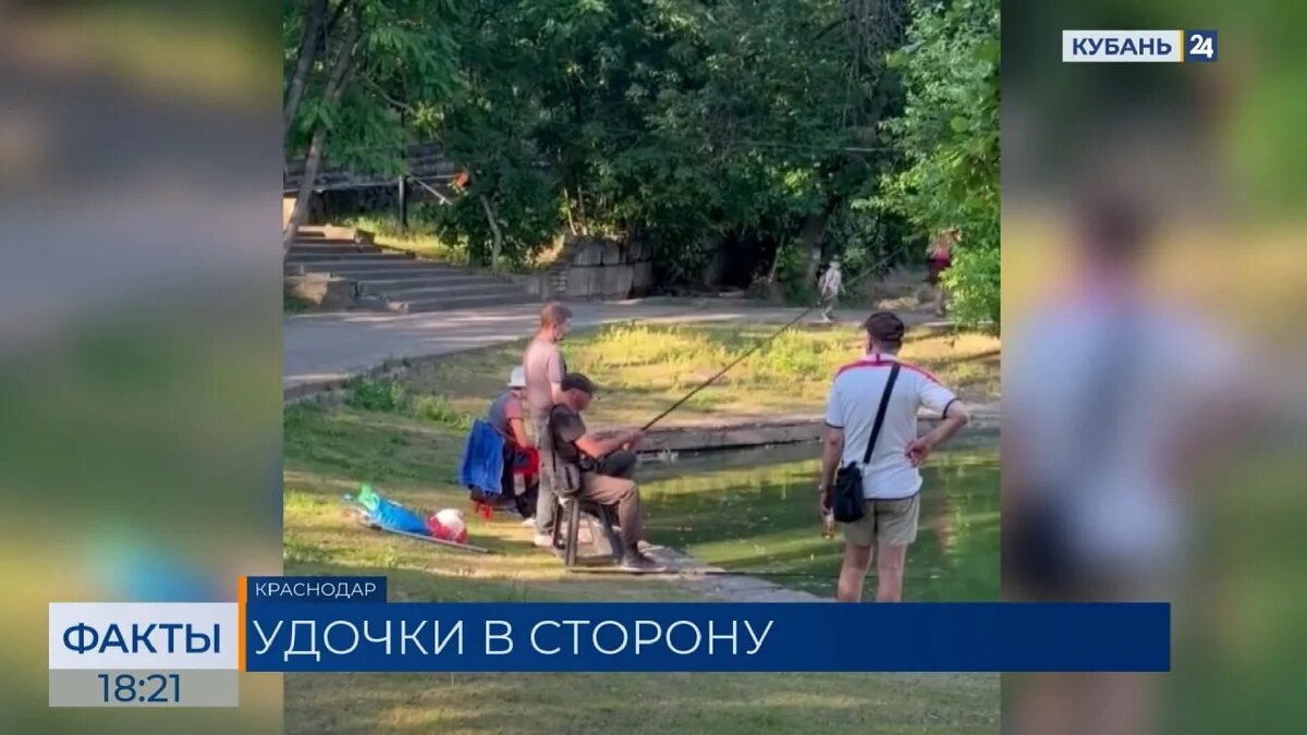    Скриншот видео телеканала «Кубань 24»