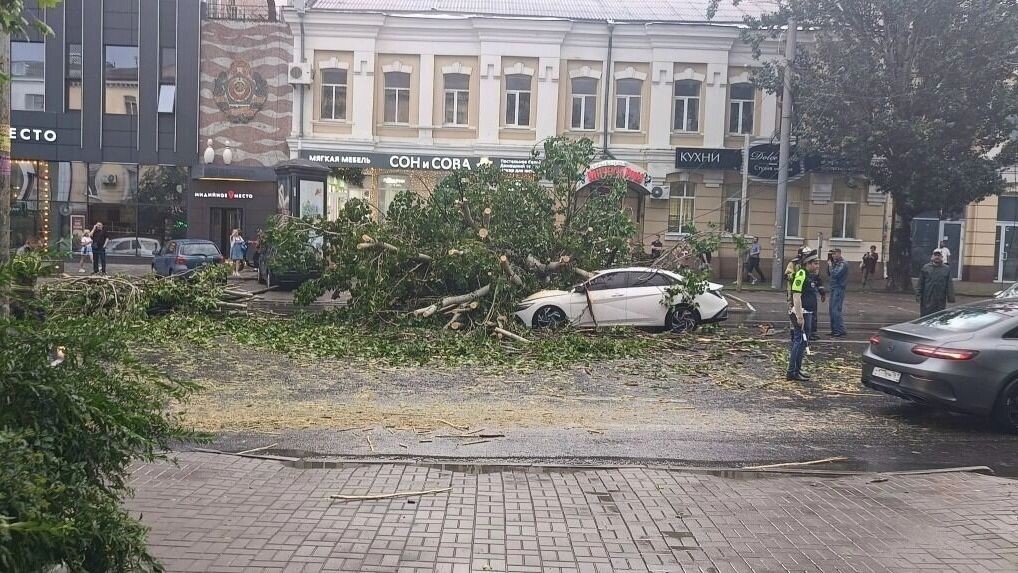    Человек пострадал из-за последствий ливня с сильным ветром в Ростове 26 июня   rostovgazeta.ru