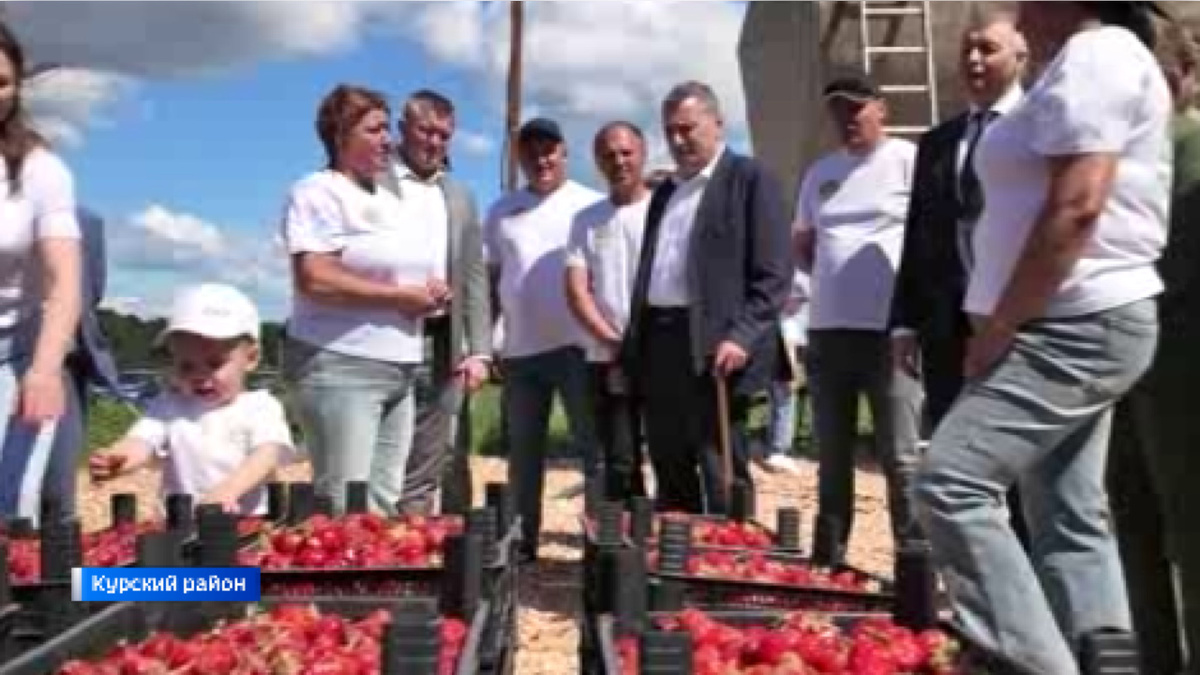    Сегодня Александр Хинштейн посетил сельскохозяйственные предприятия в Курском и Солнцевском районах