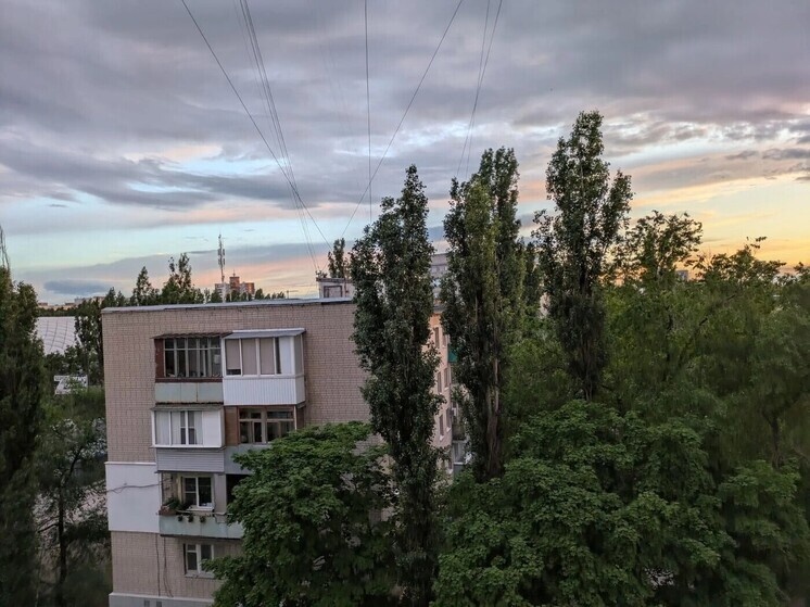     Фото: МК в Воронеже