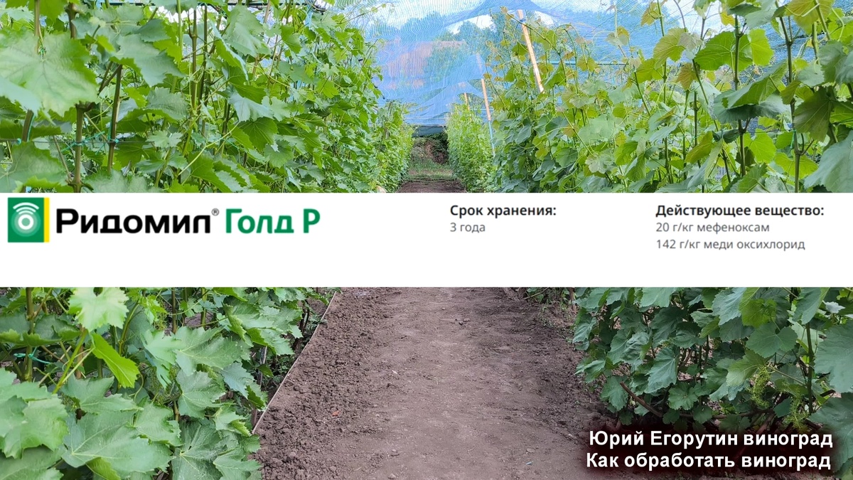 Ридомил Голд Р.