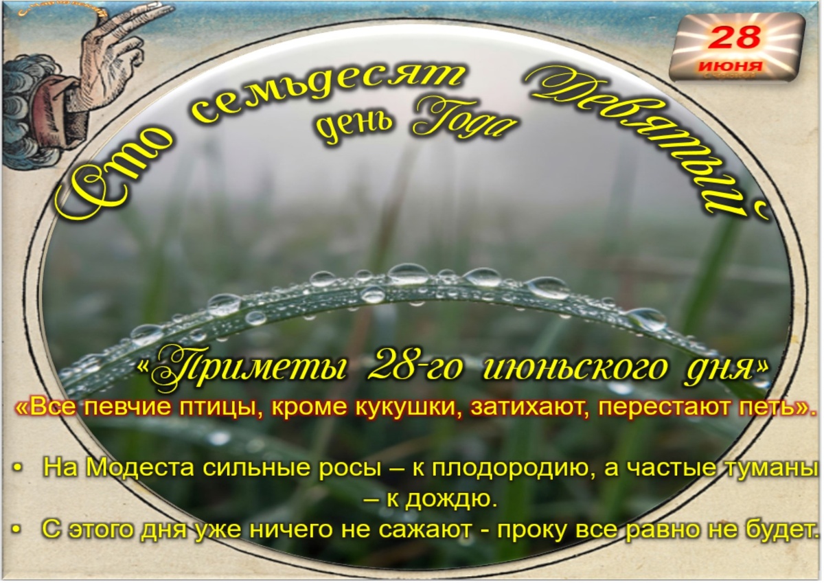 Встречаем новый день
