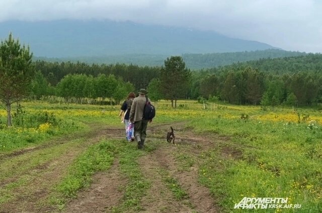    Дорога из Кутурчина в сторону Мальвинки. Фото: krsk.aif.ru/ Татьяна Бахтигозина