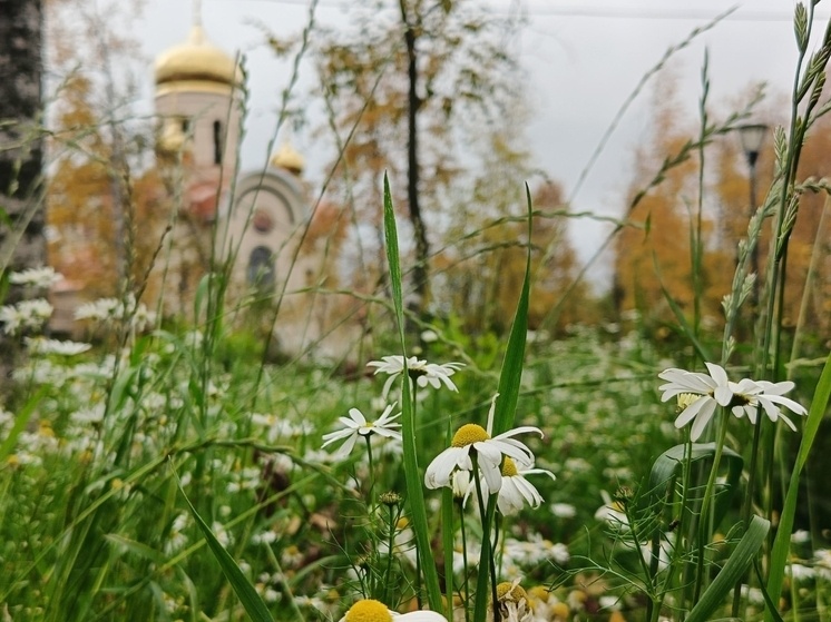     Фото ИА «Регион 29»
