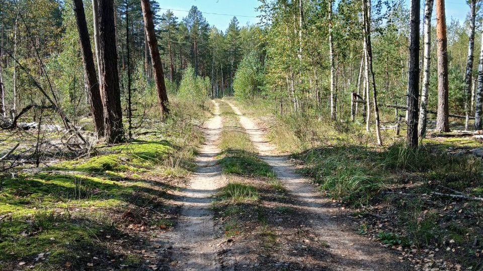 Три доли Глава 33