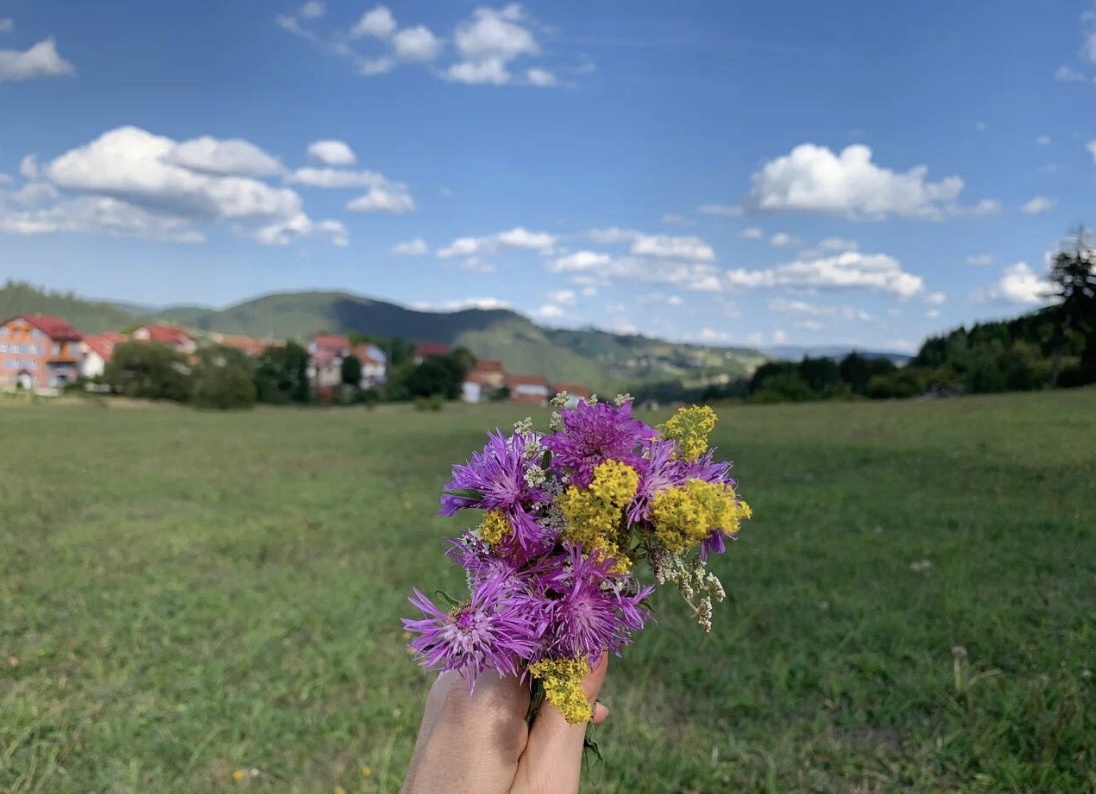 Фото автора. Сербия, гора Златар. Букет от моей дочки