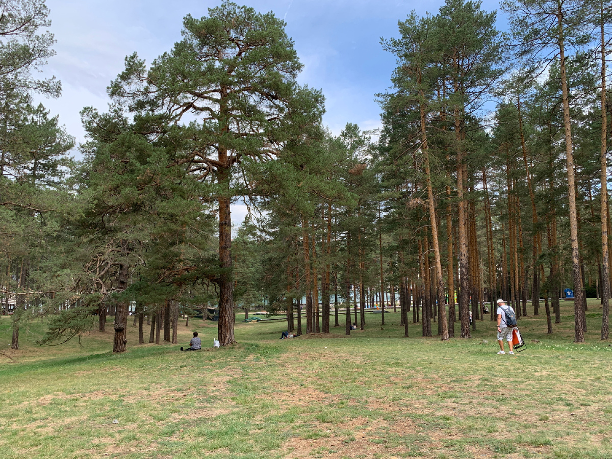 Курорт Златибор, Сербия, август 2026, фото автора 