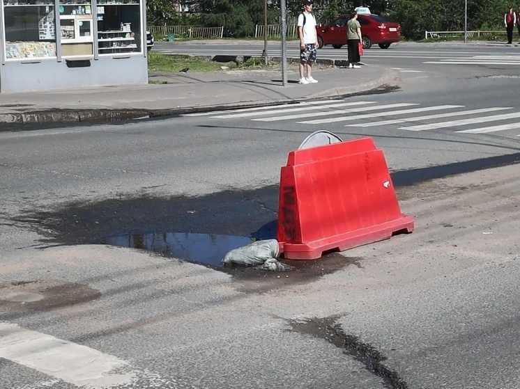     Фото из сообщества ВК "Народный фронт | Архангельская область"