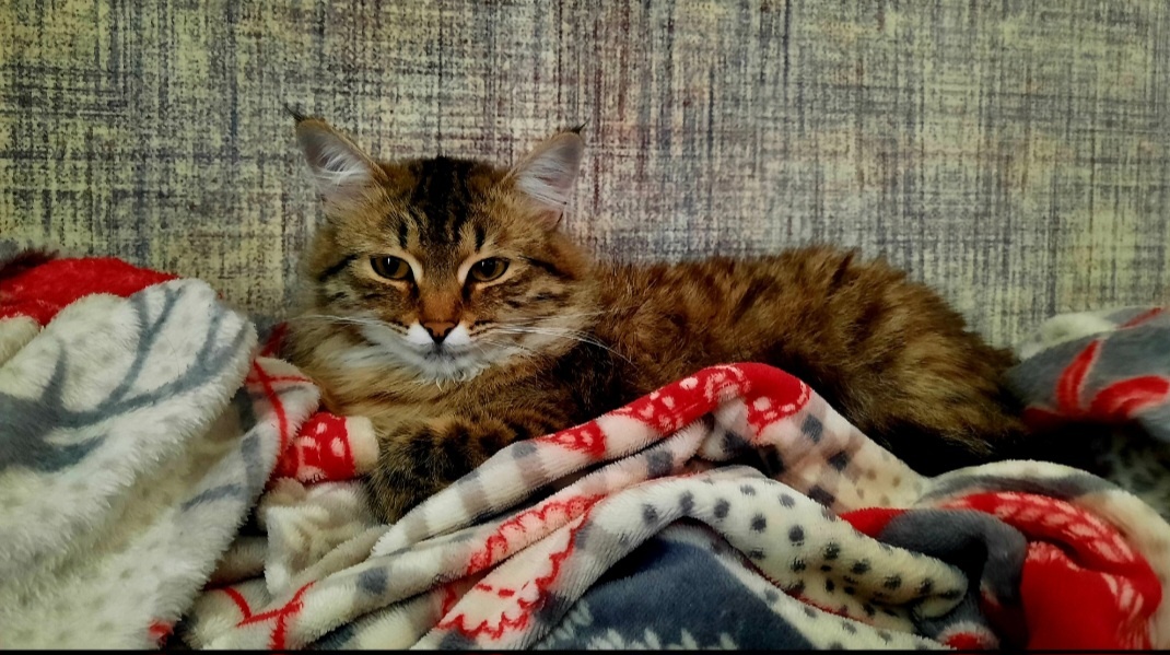 Люсенька моя ❤️
