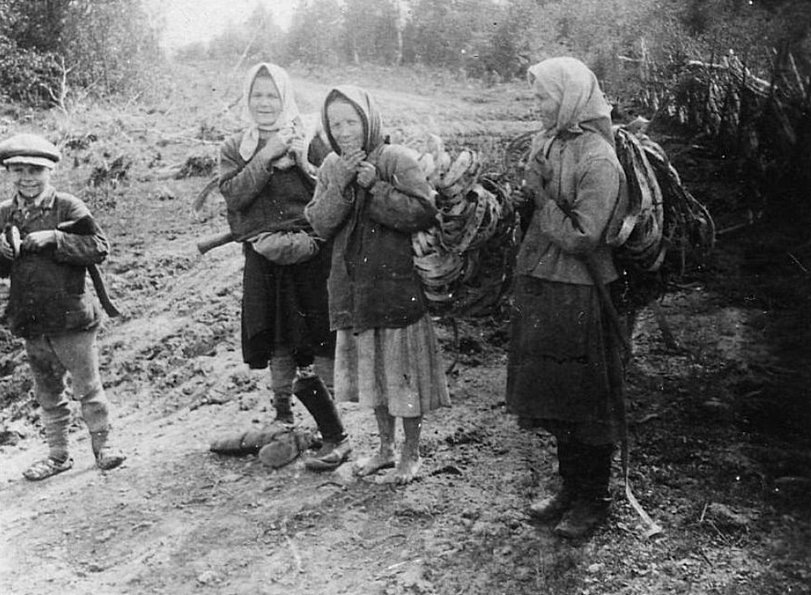 Взято из открытых источников интернета Яндекс 