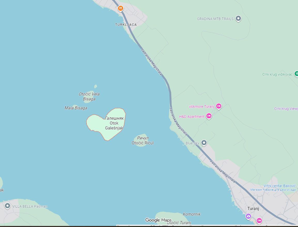 Google Maps