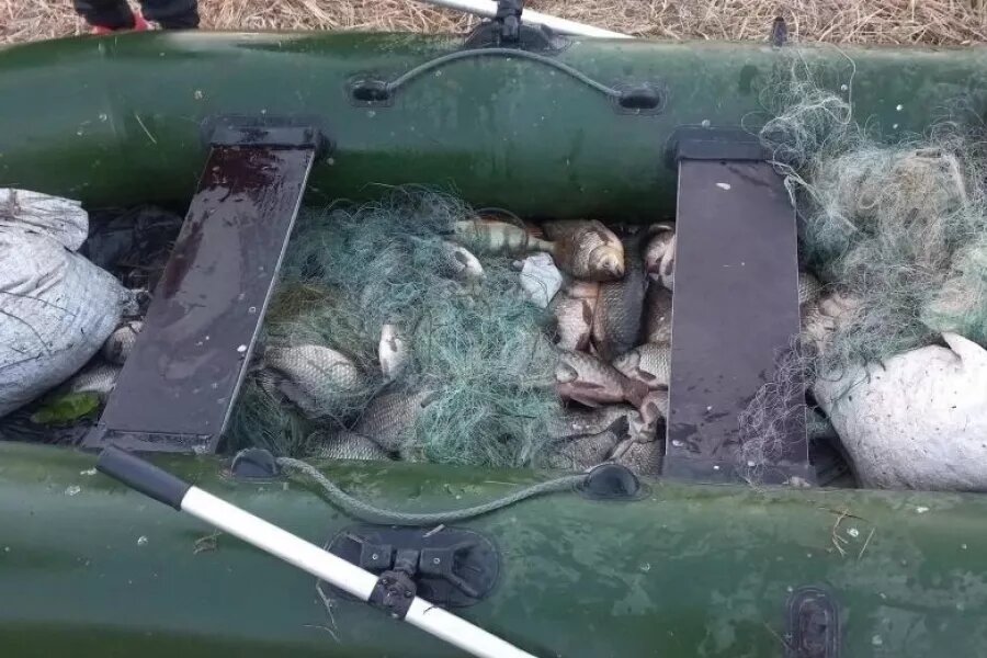 Двух бийчан задержали за рыбалку в запретный период Пресс-служба МУ МВД России "Бийское"   📷