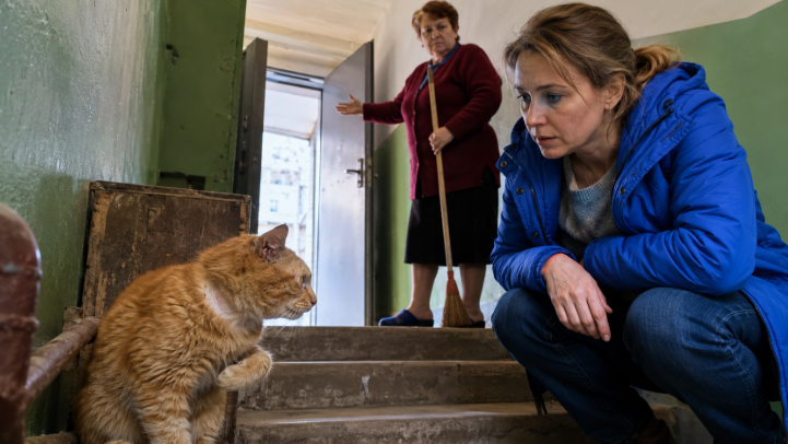 Кота оставили в подъезде, но он не пошёл к открытой двери, соседка увидела след от ошейника