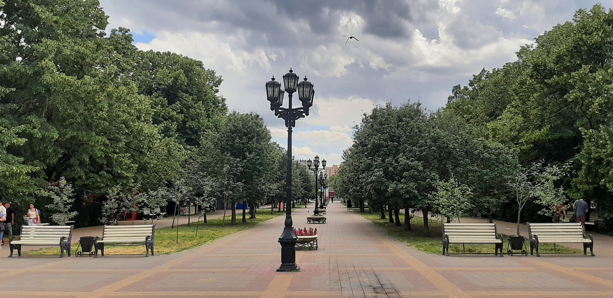 Центральная аллея, которая проходит через весь парк