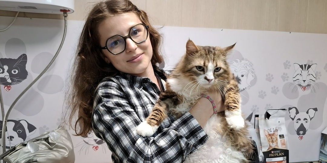Дом меняет все: история кота Матюши до и после счастливого пристройства