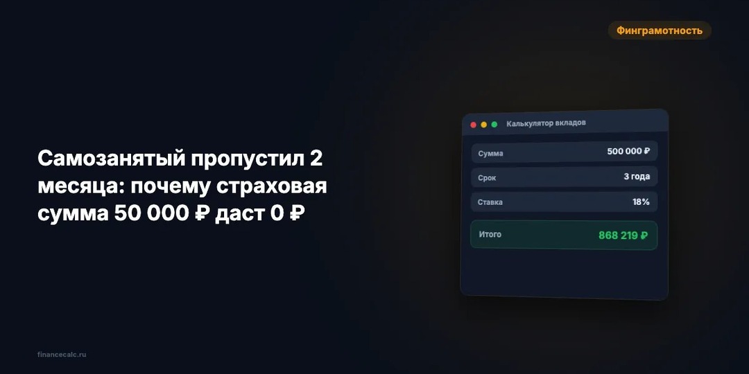 Самозанятый пропустил 2 месяца: как проверить право на 50 000 ₽