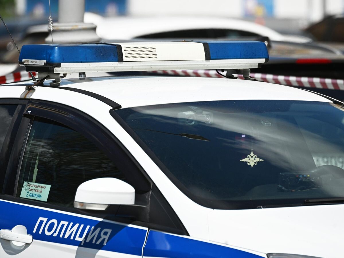    Автомобиль полиции© РИА Новости . Сергей Бобылев