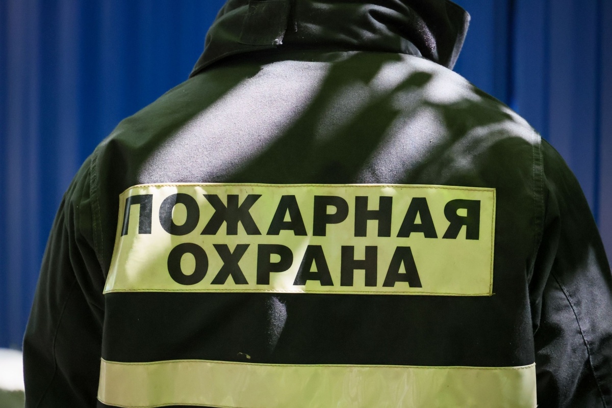    Алексей Белкин/NEWS.ru