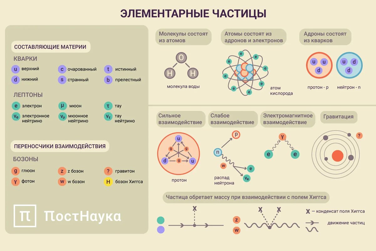 Элементарные частицы