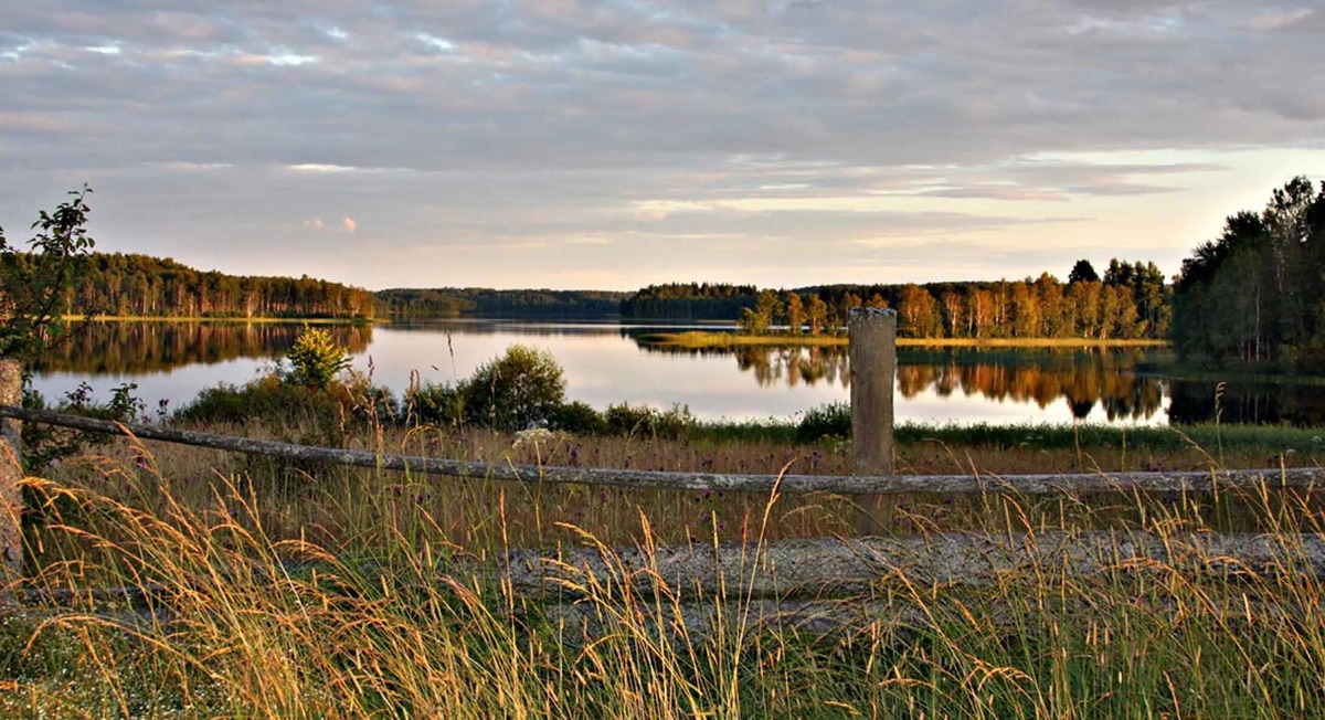Панорамный вид озера Бросно