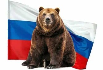 Фото из открытого источника Интернета