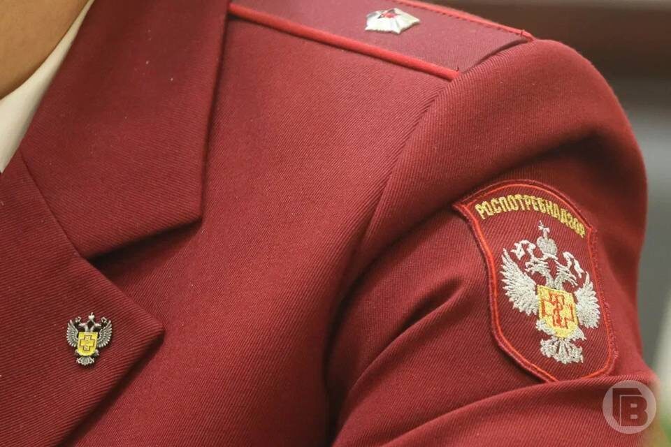    фото: Дмитрий Рогулин / "Городские вести"