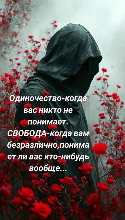 Одиночество не равно свобода! Картинка из интернета 