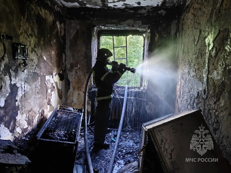     Фото: ГУ МЧС России по Омской области