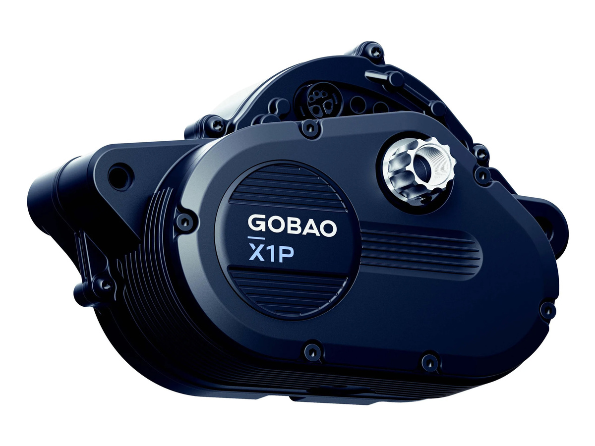 Изображение: Gobao  📷
