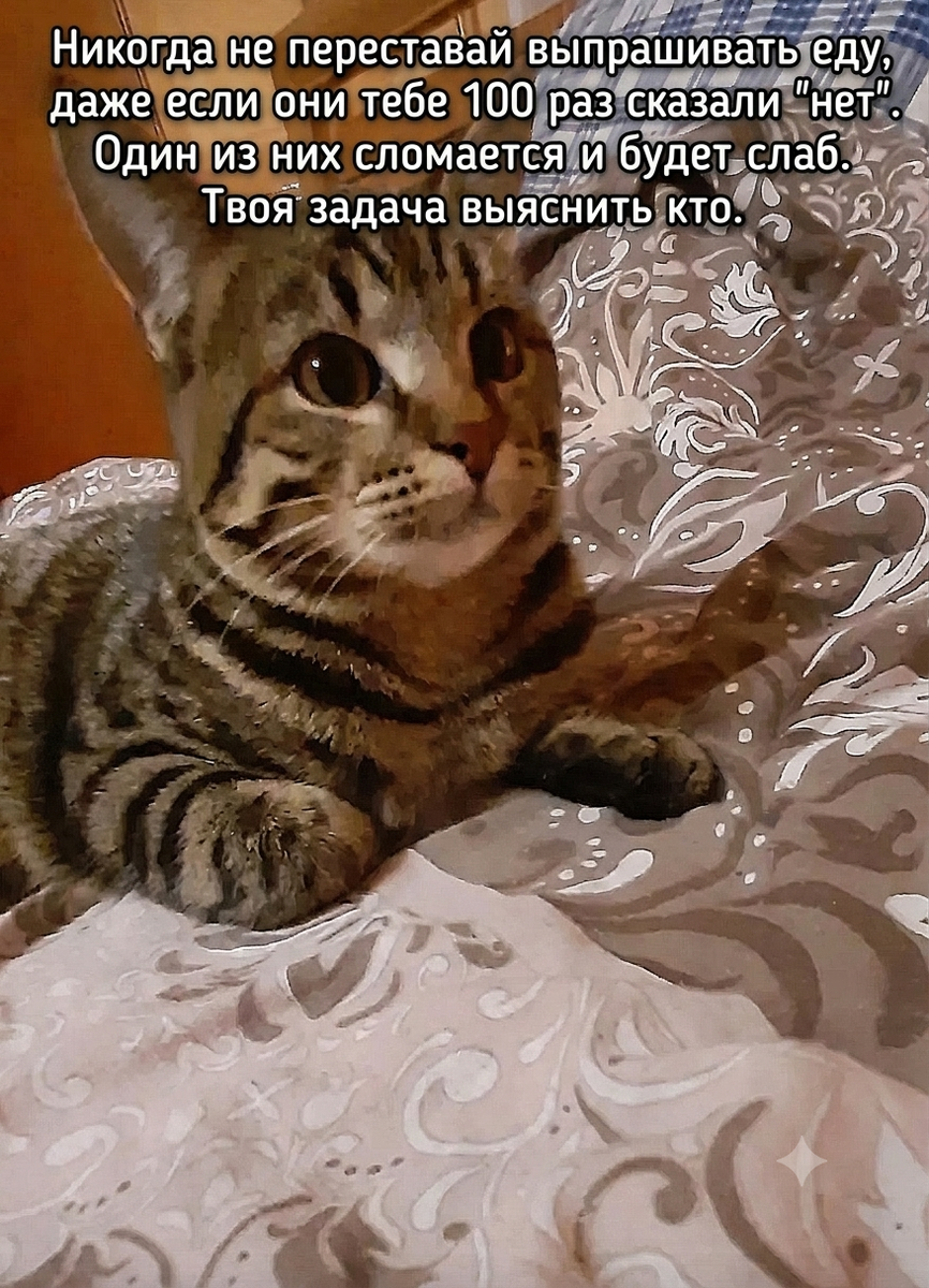 Генерация автора