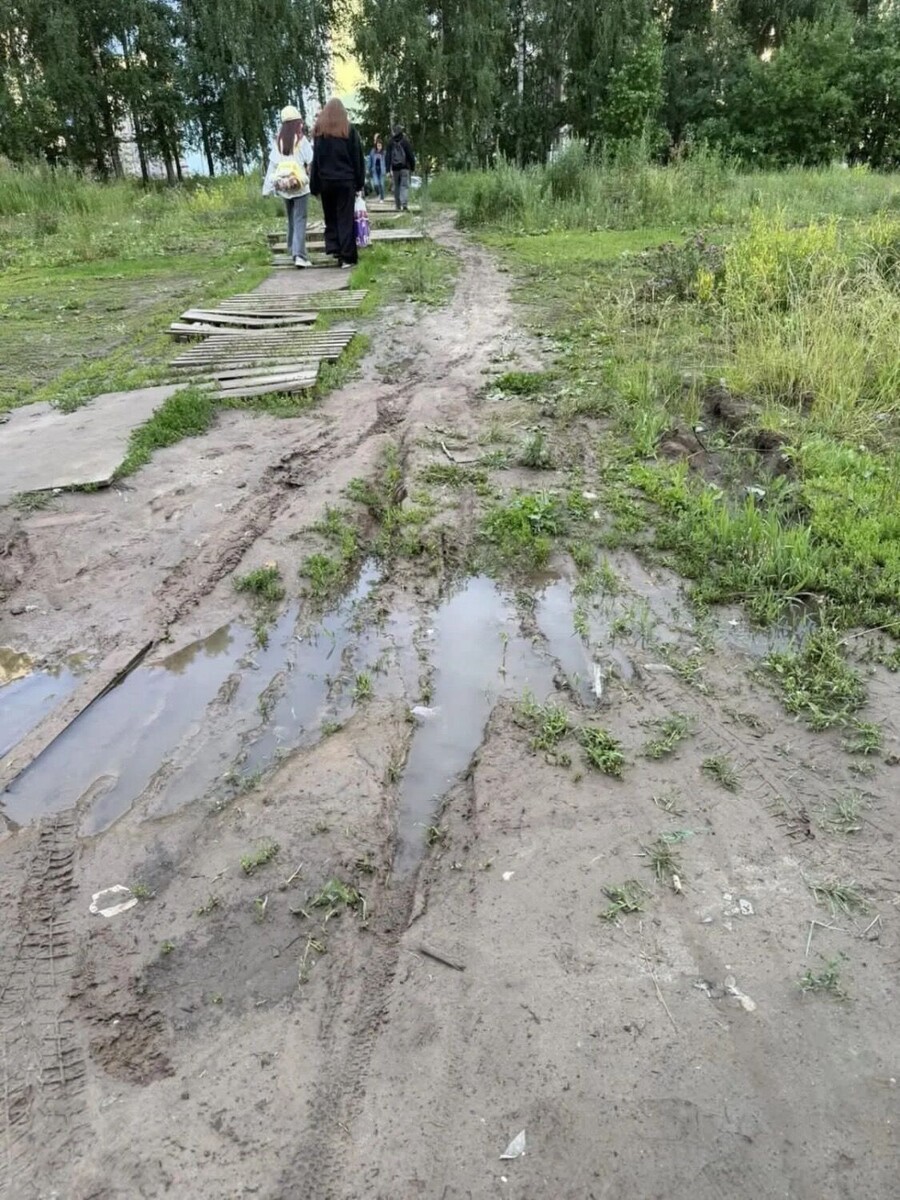    Дорога до остановки через лесопосадку   Предоставлено Екатериной