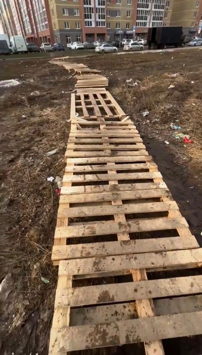    Дорога до остановки через лесопосадку   Предоставлено Екатериной