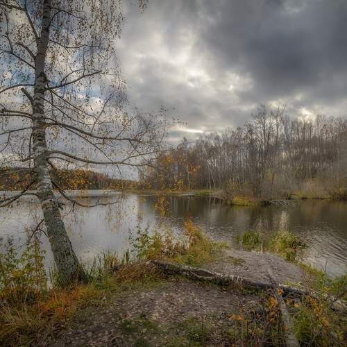 фото из интернета