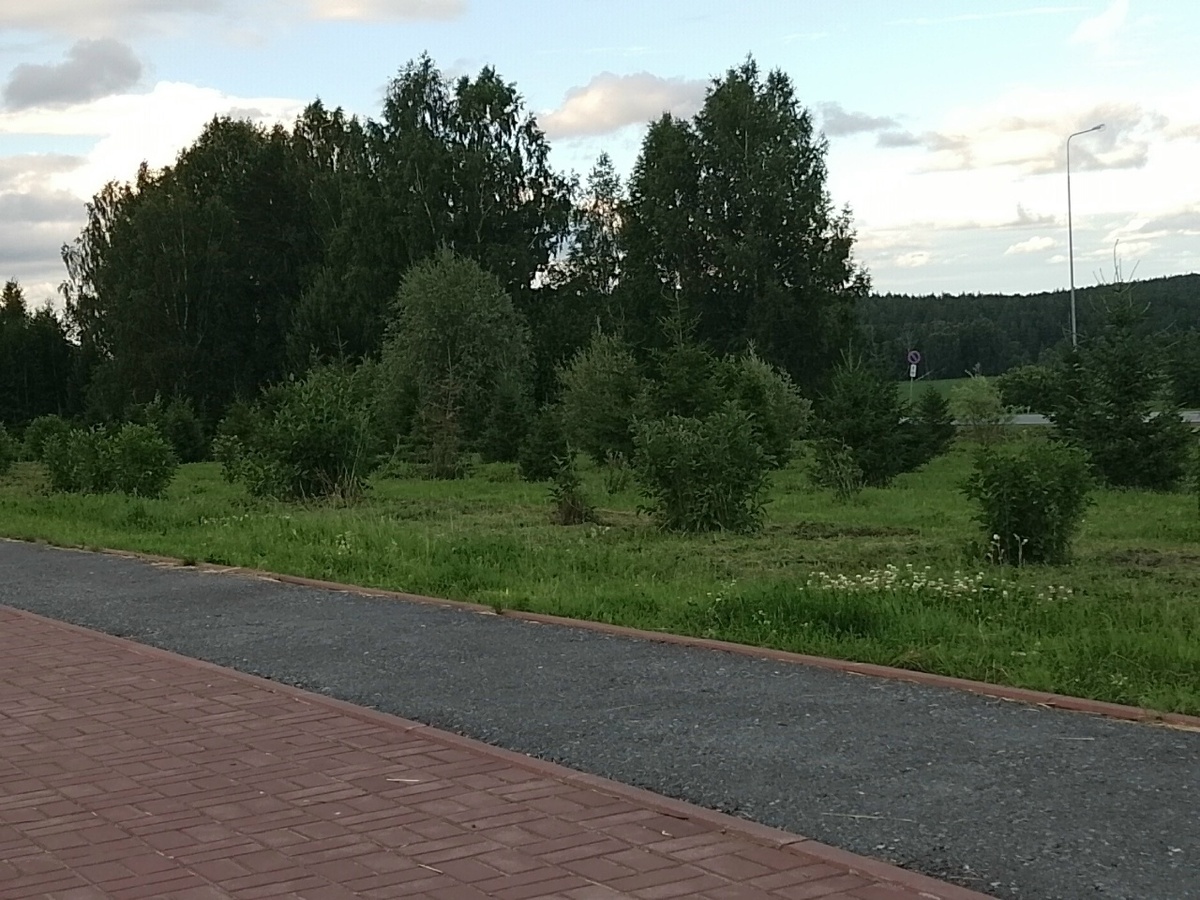 Вечер 24 июня