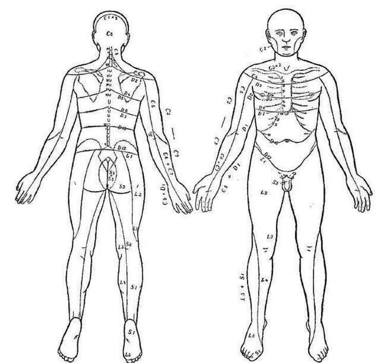 Источник: ranker.com/list/human-body-facts-same-different/melissa-sartore
