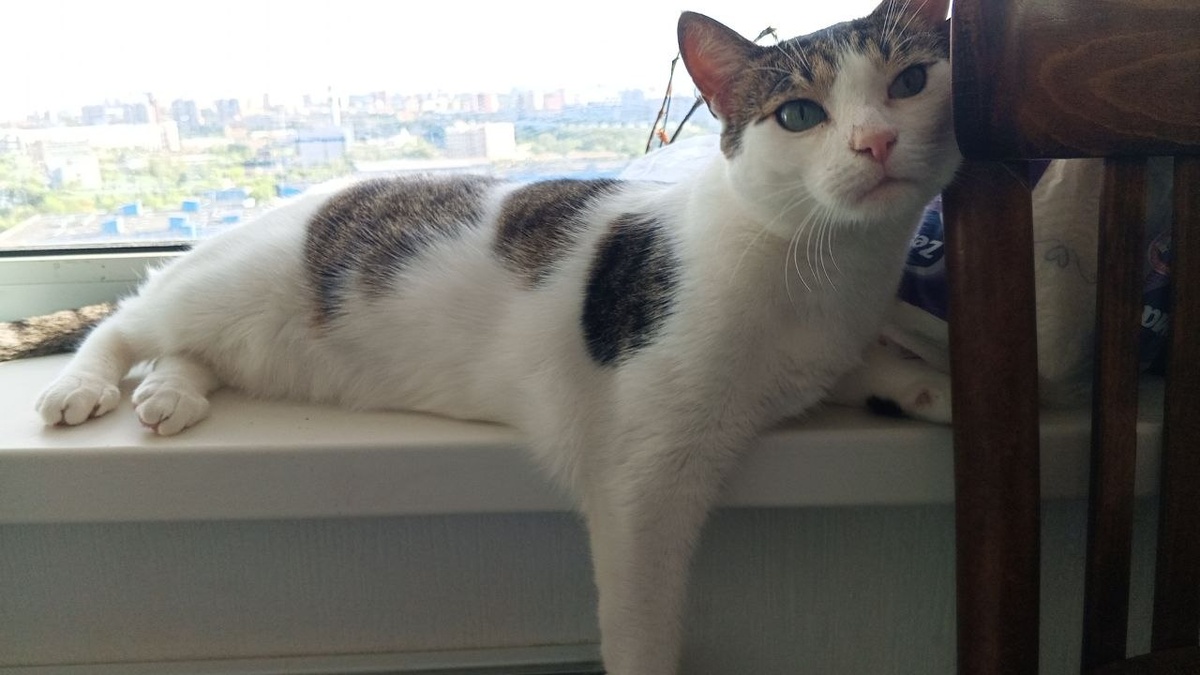 Конечно. дома, Я ж знал