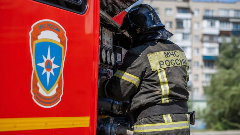    dzen.ru